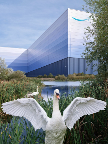 Work Hard, Have Fun, Make History (from the series: We,Us)