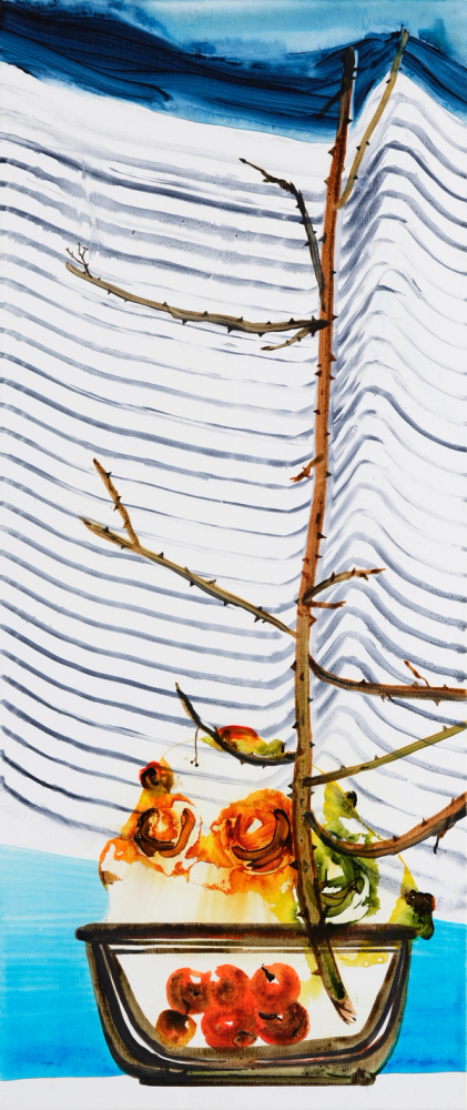 Mountain cold fruit bowl