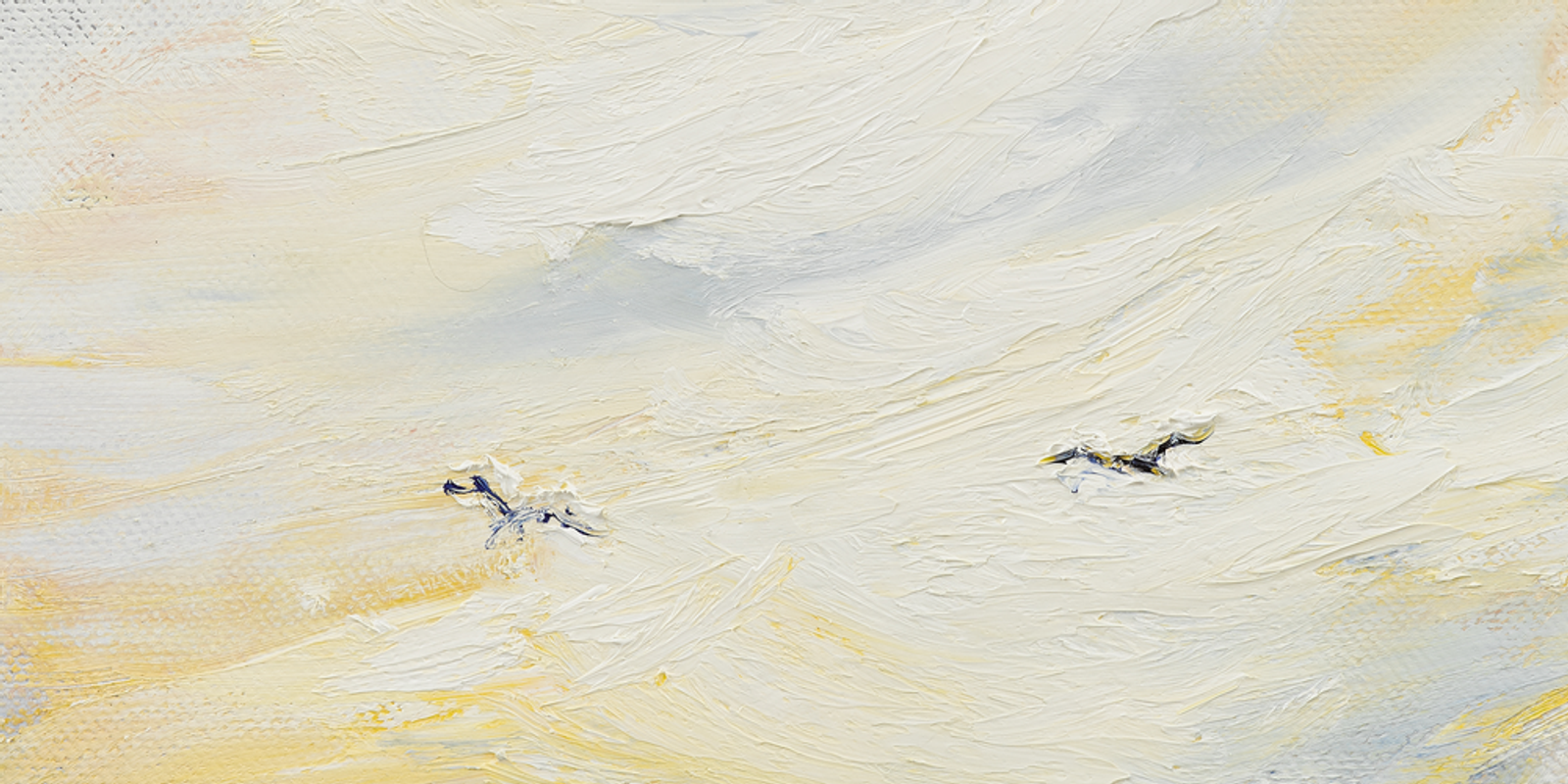 Skying Birds