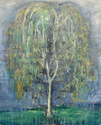 Sunlight on Weeping Birch