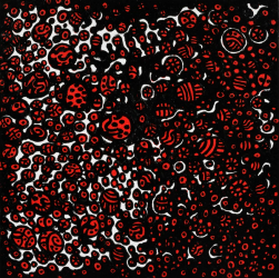 The Light from God That Taught Me So Much, Discovered During My Days Inhabiting Life