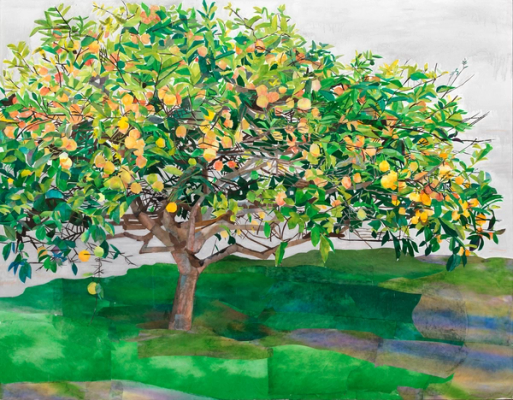 Miracles of Ordinary Light