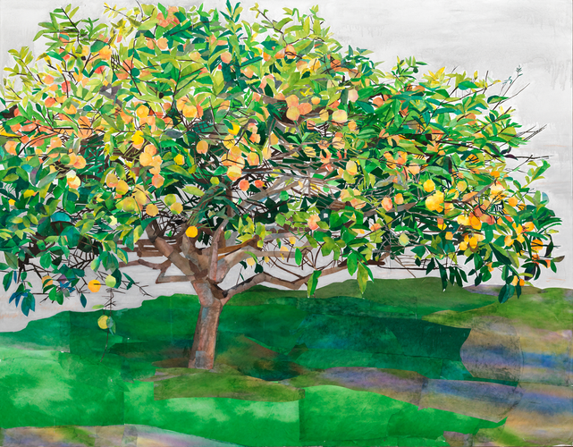 Miracles of Ordinary Light