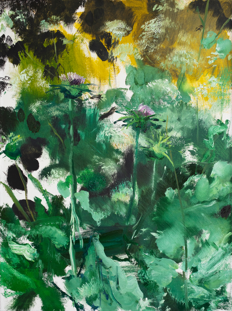 Thistle and Queen Anne’s Lace