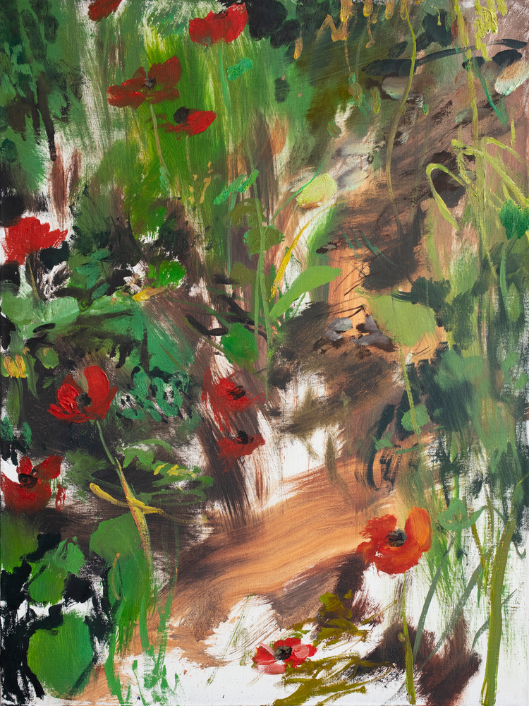 Anemones 2