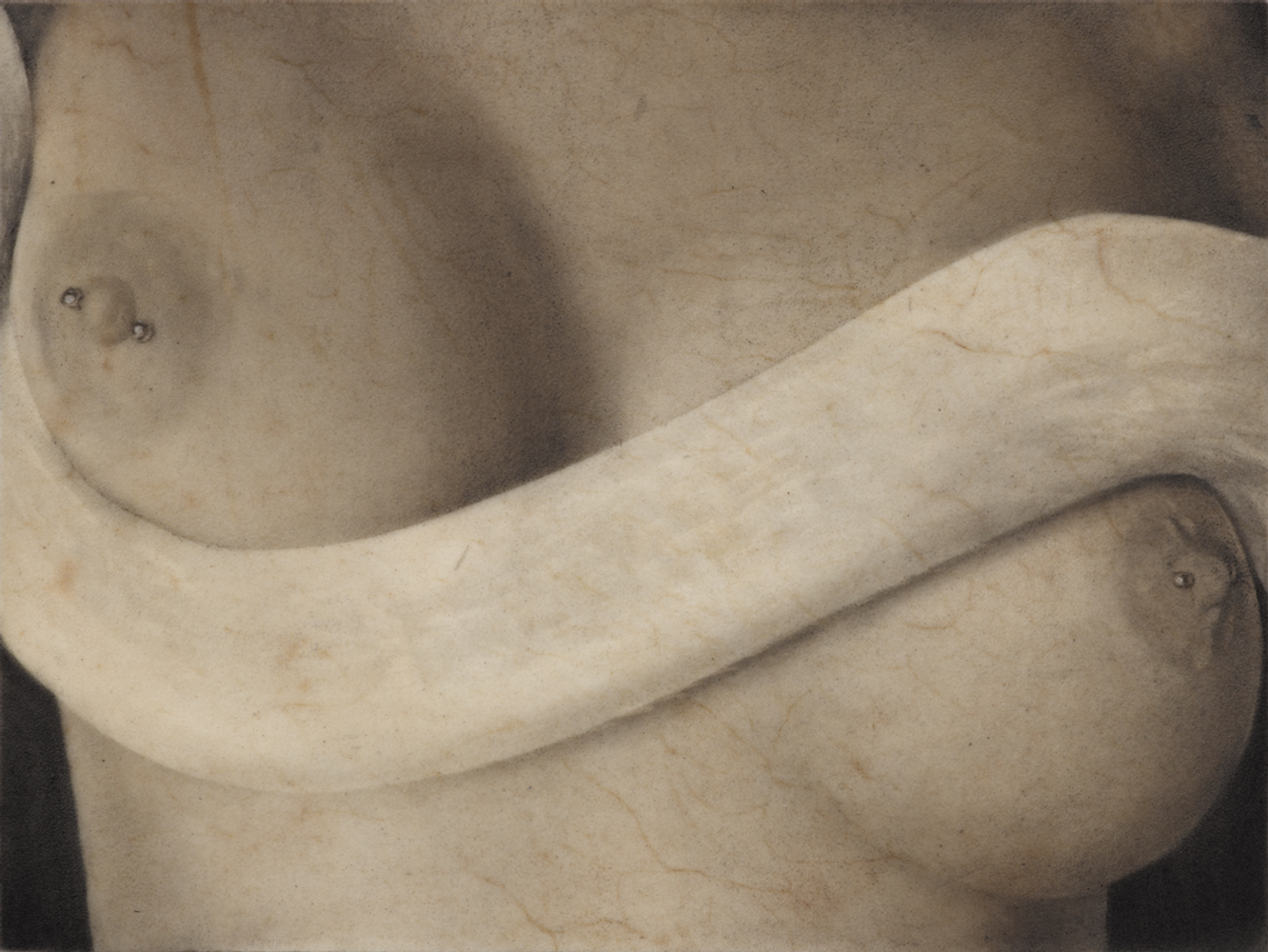 Slither