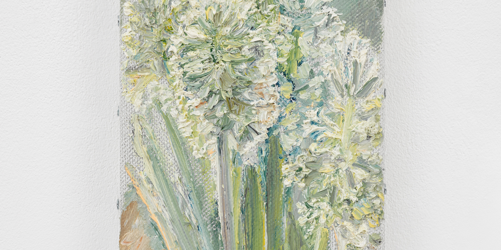 Hyacinths
