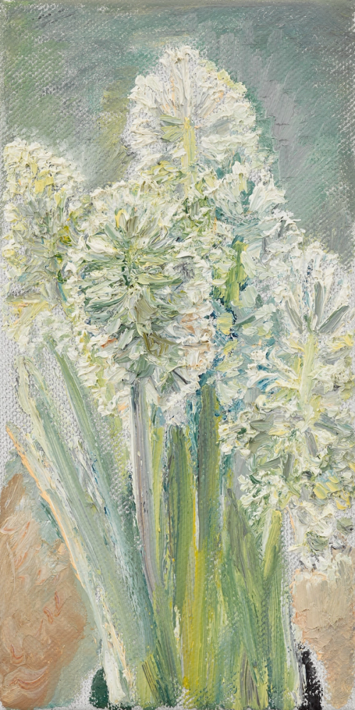 Hyacinths