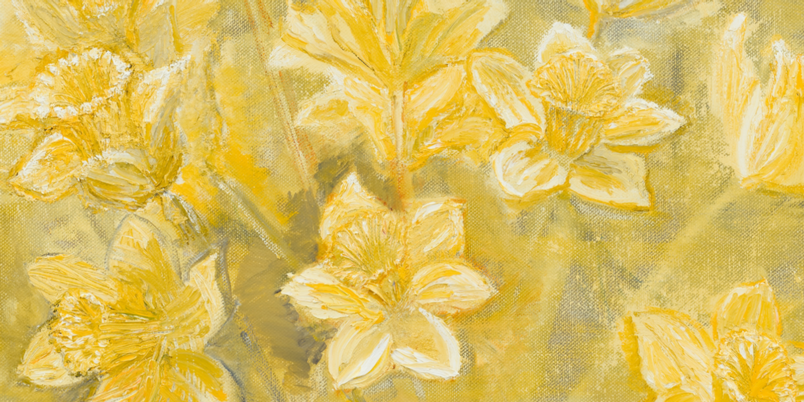Daffodils