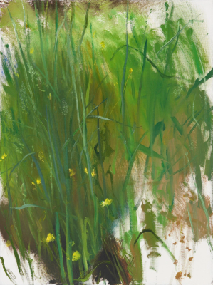 Ilan's Garden 4