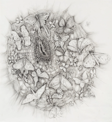 The Apocalyptic Bride