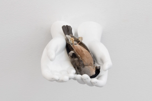 Still Life (Bullfinch)