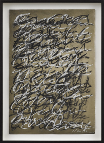 Time should belong in the seed of life