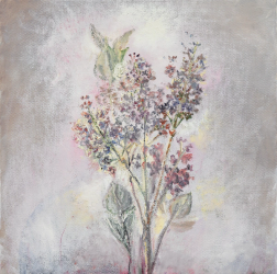 Lilacs