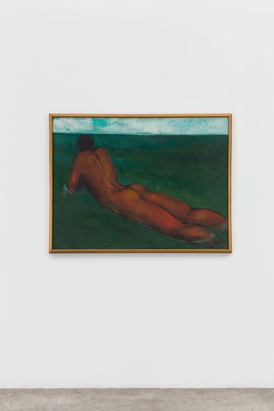 Swimmer