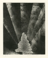 Standing II