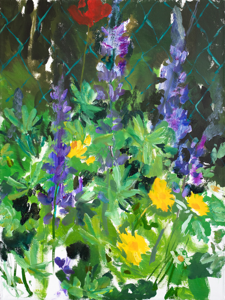 Lupins
