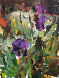 Irises
