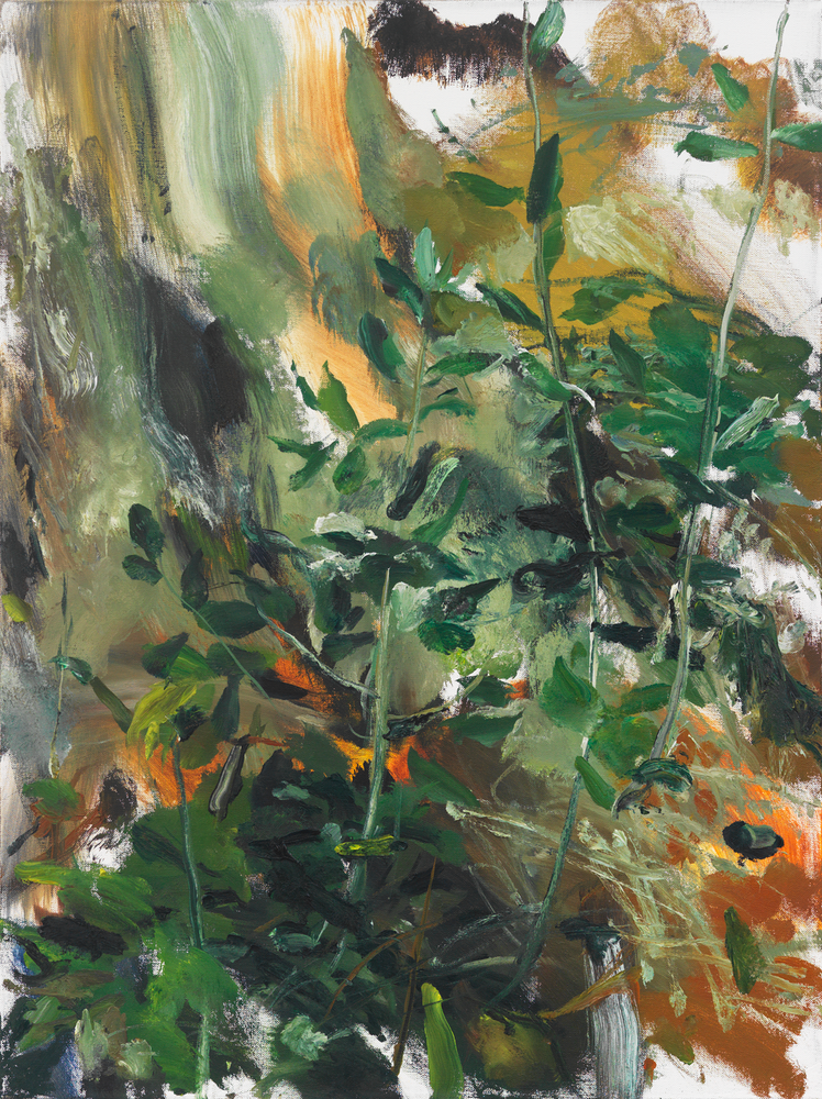 Olive Tree