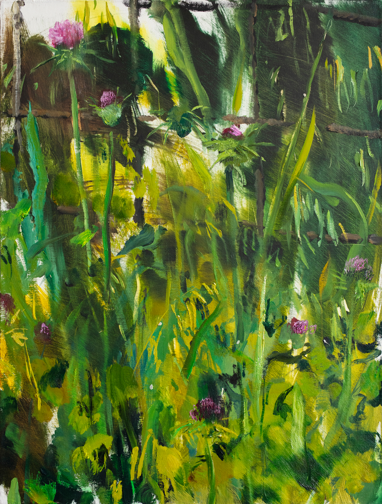Thistle and Oat