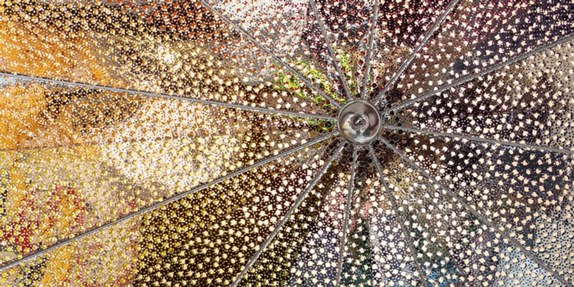 Conrad Shawcross