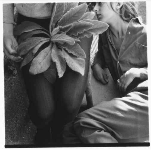 Untitled, Antella, Italy