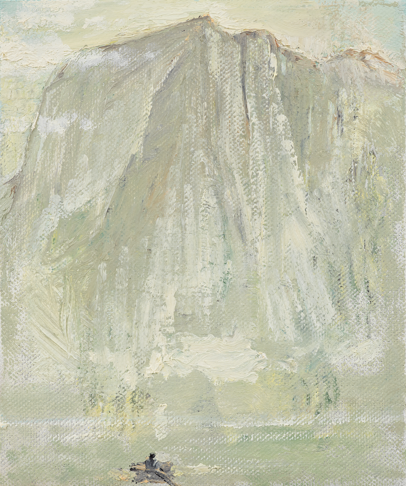 Steve, Mountain, Mist Rising