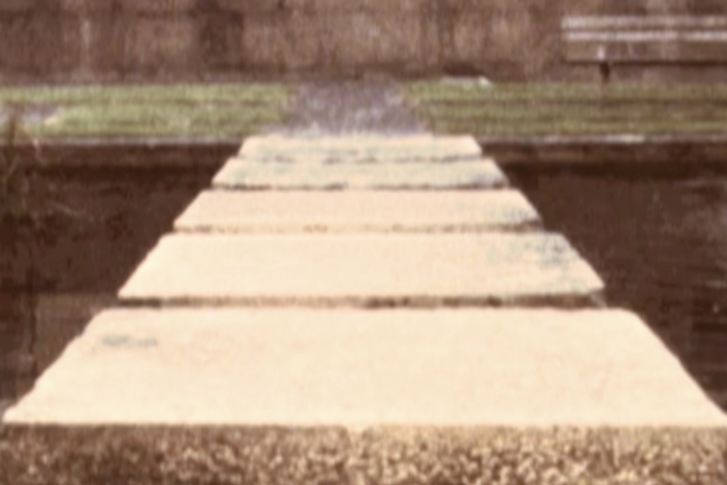 Participent film - The Path In Front and The Shadow Behind