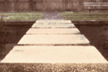 Participent film - The Path In Front and The Shadow Behind