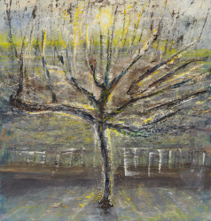 My Plane Tree in front of the British Museum