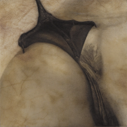 Her Eyes were Full of Feathers