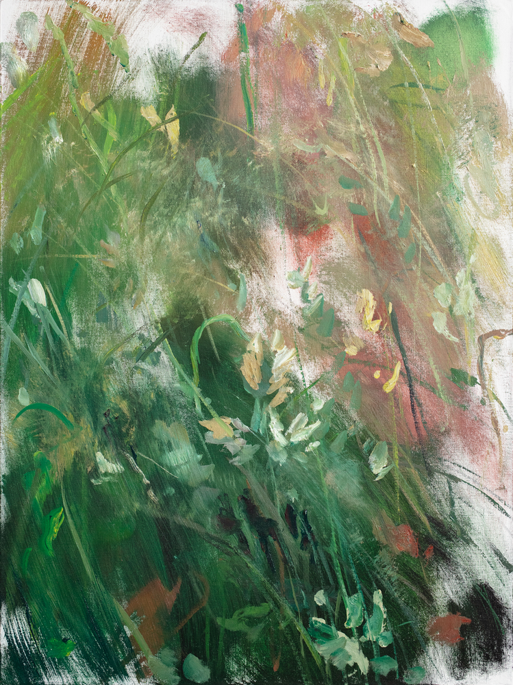 Ilan's Garden 3