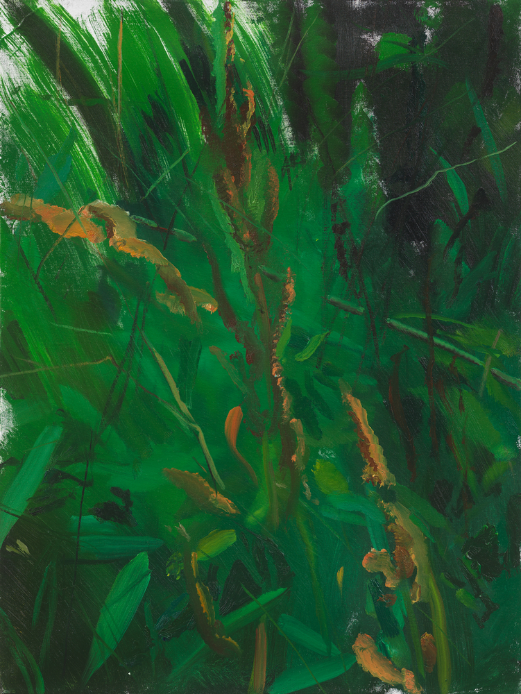 Ilan's Garden