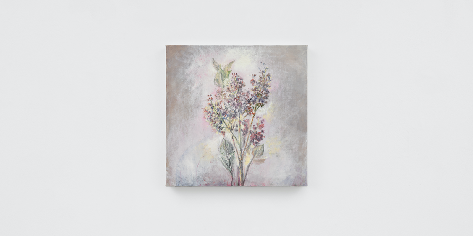 Lilacs