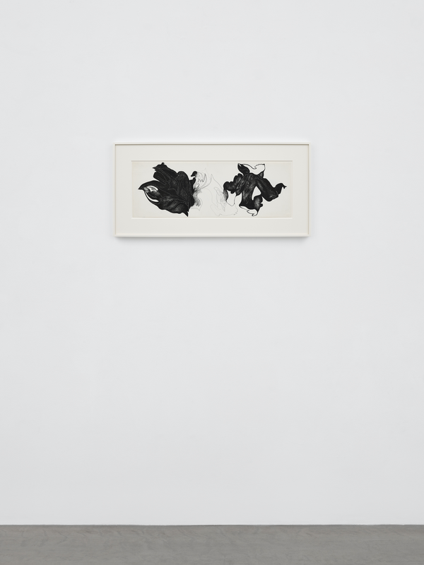 Untitled (Baldander)