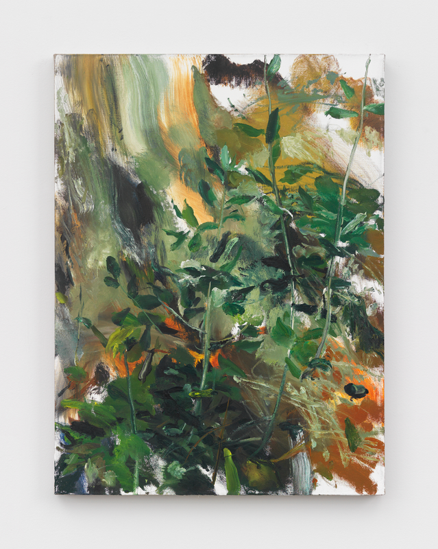 Olive Tree