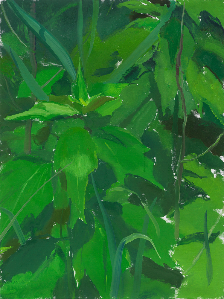 Ilan's Garden
