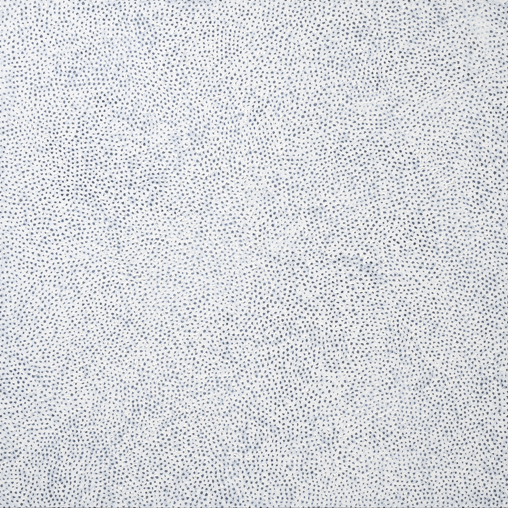 INFINITY NETS (ZIRLQ)