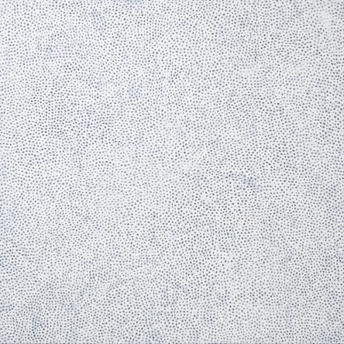 INFINITY NETS (ZIRLQ)