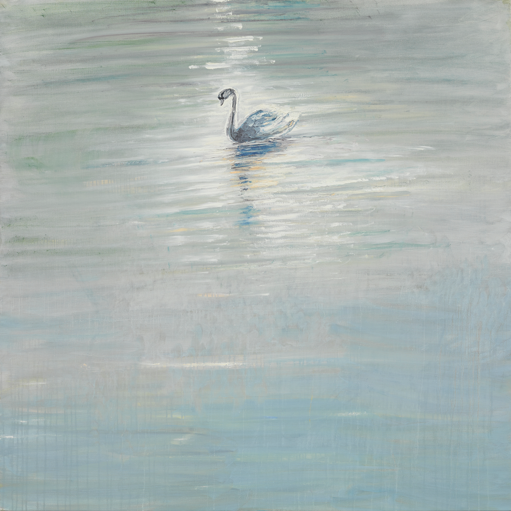 Swan, Cambridge
