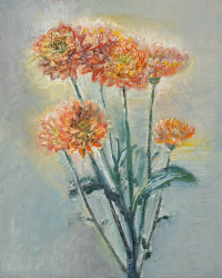 Chrysanthemums in May