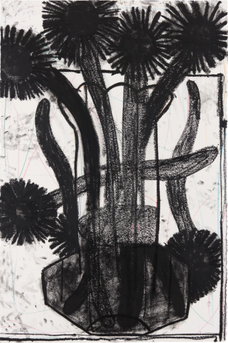 Untitled Flowers