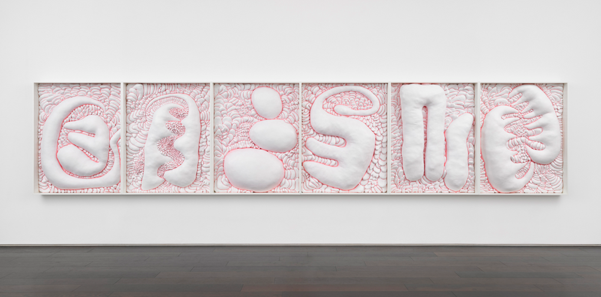 I Who Was Awestruck at the Shape of the Secret I Found in the Cosmos