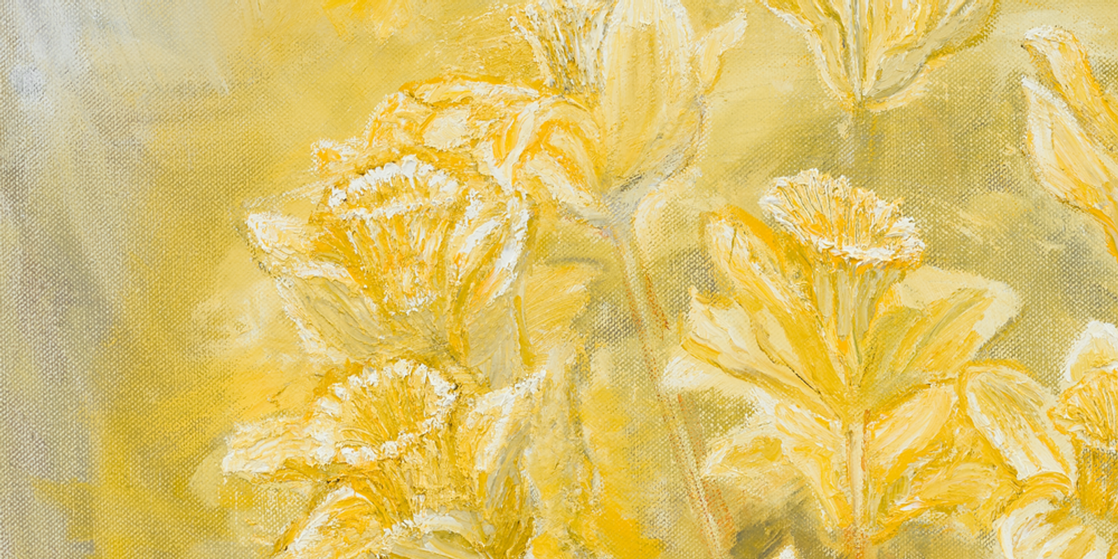 Daffodils