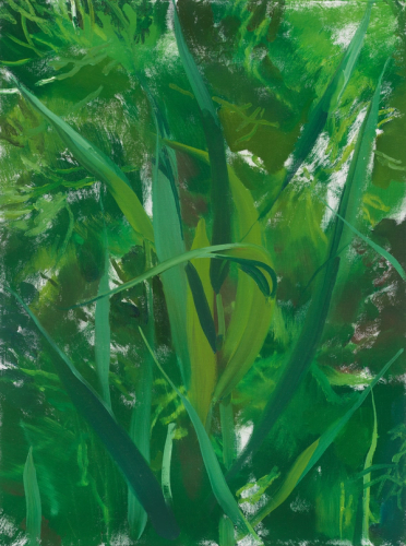 Ilan's Garden