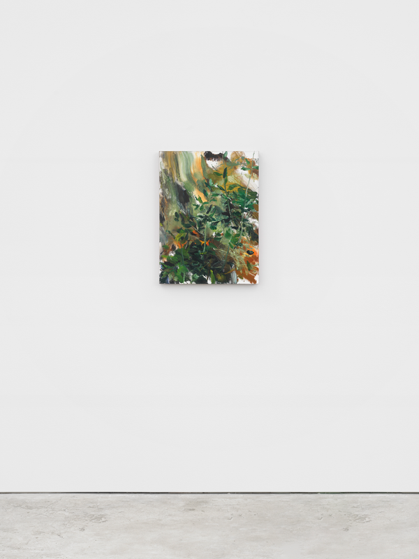 Olive Tree