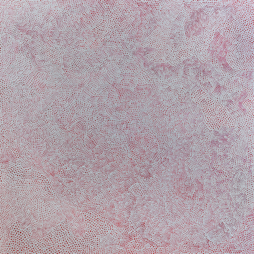 INFINITY-NETS (TAUZT)