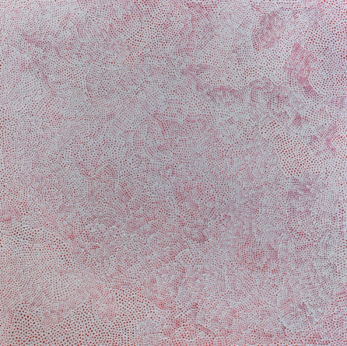 INFINITY-NETS (TAUZT)