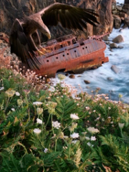 Act of God (from the series: We,Us)