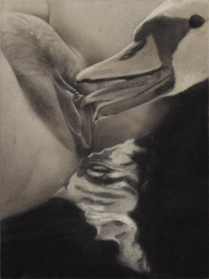 Lick of the Lips